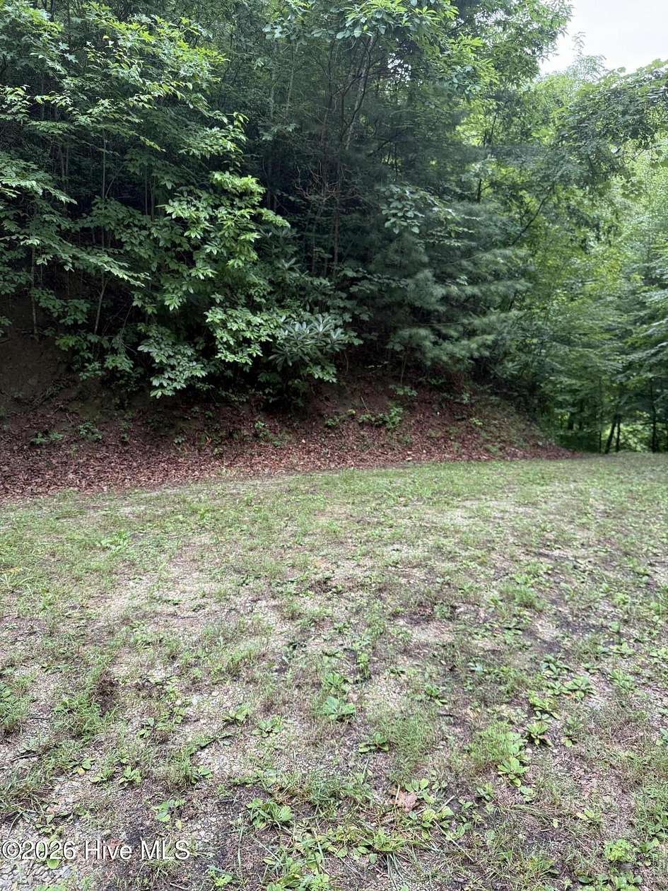 1 Acre of Residential Land for Sale in Topton, North Carolina