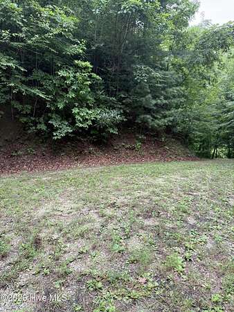 1 Acre of Residential Land for Sale in Topton, North Carolina