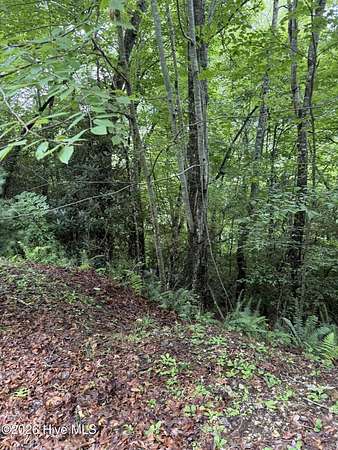 0.99 Acres of Residential Land for Sale in Topton, North Carolina