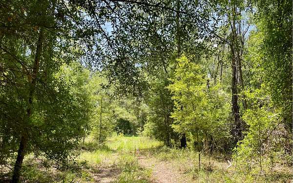 10 Acres of Recreational & Residential Land for Sale in O'Brien, Florida