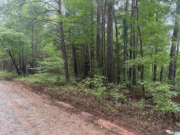 43 Acres of Recreational Land for Sale in Delta, Alabama