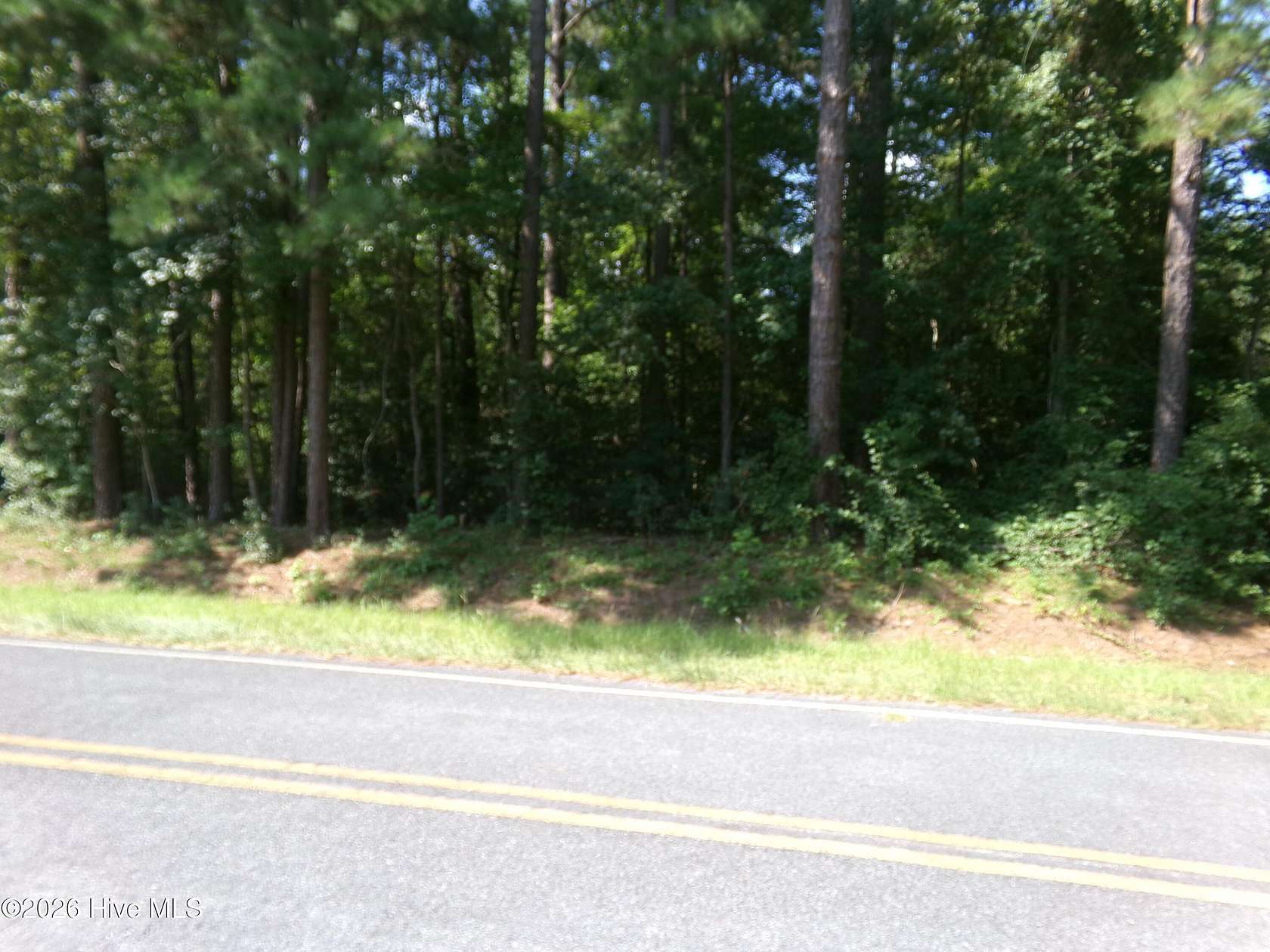 0.8 Acres of Residential Land for Sale in Clarkton, North Carolina