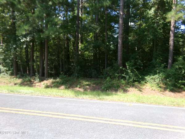 0.8 Acres of Residential Land for Sale in Clarkton, North Carolina