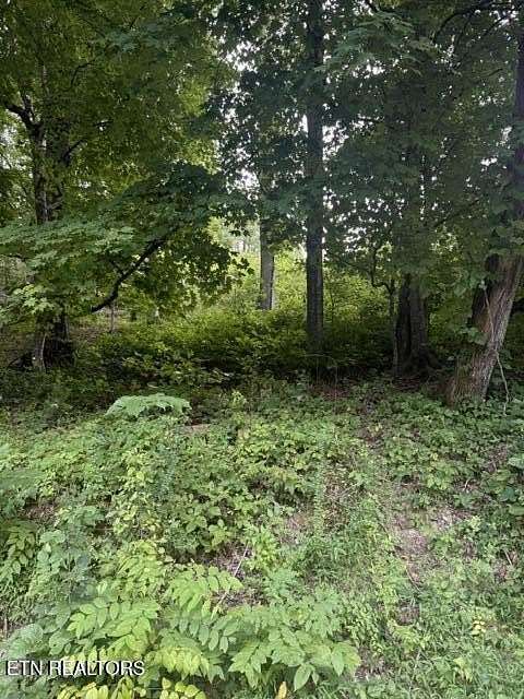 1 Acre of Residential Land for Sale in Loudon, Tennessee