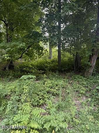 1 Acre of Residential Land for Sale in Loudon, Tennessee