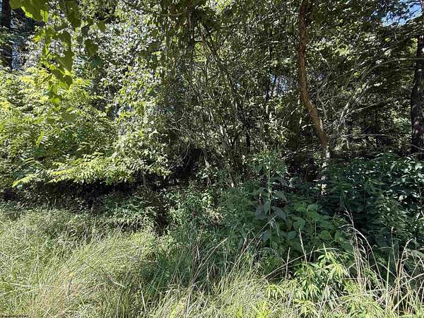 0.45 Acres of Residential Land for Sale in Flemington, West Virginia