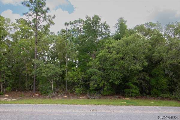0.23 Acres of Land for Sale in Citrus Springs, Florida