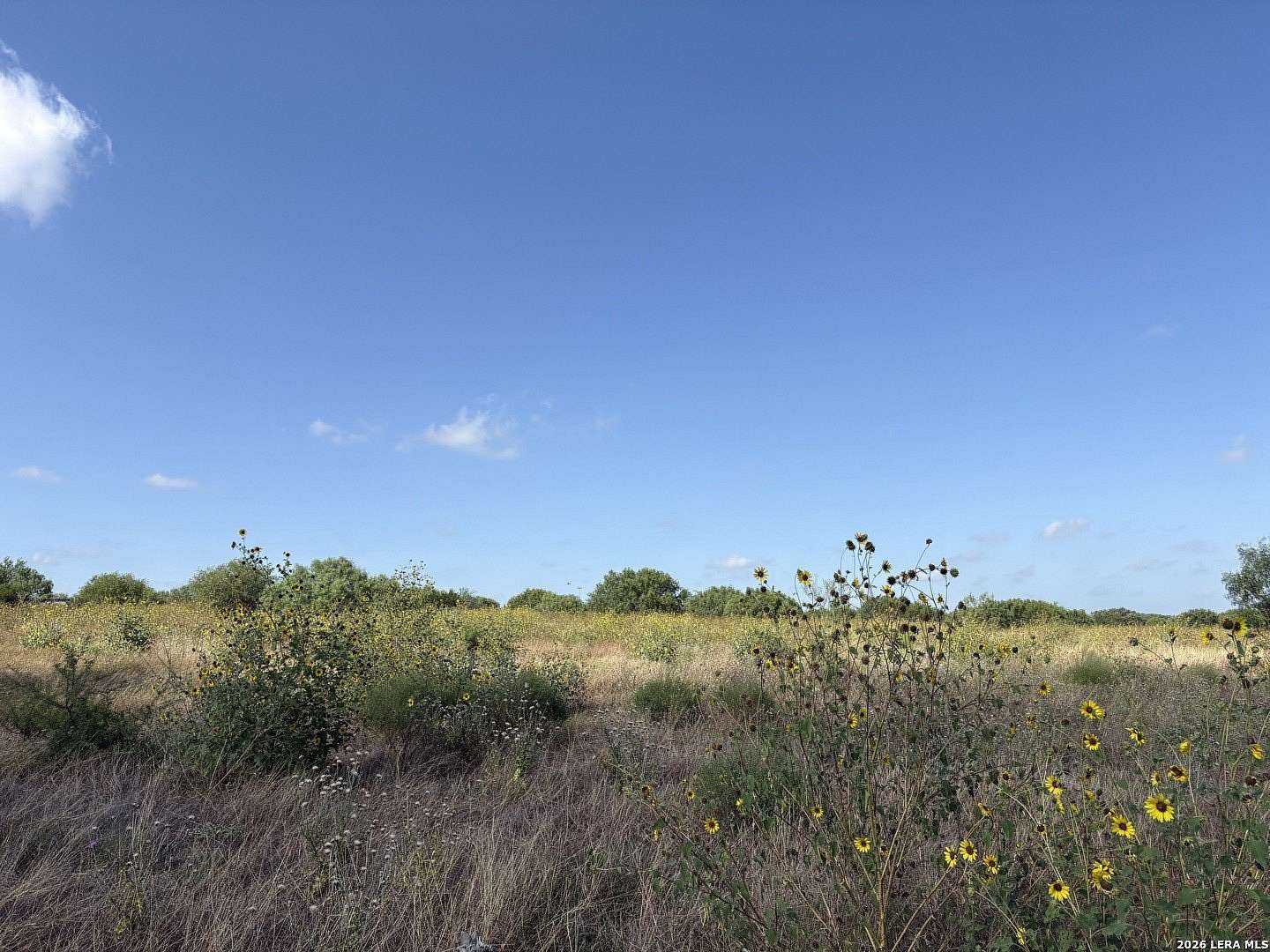 5.14 Acres of Commercial Land for Sale in Pleasanton, Texas