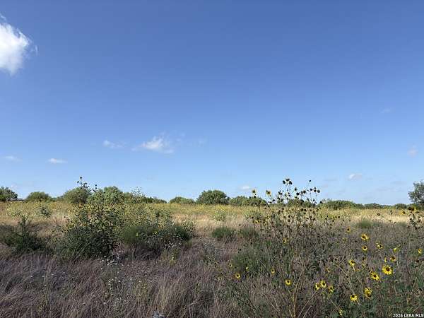 5.14 Acres of Commercial Land for Sale in Pleasanton, Texas