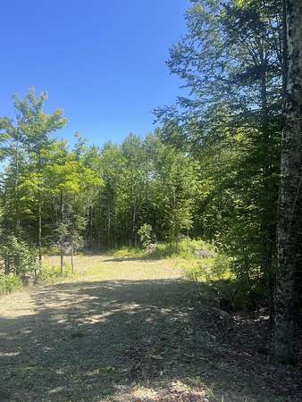 40 Acres of Recreational Land for Sale in Forest City Township, Maine
