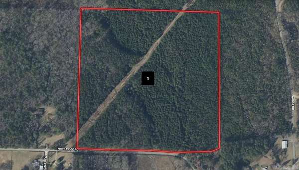 40 Acres of Recreational Land for Auction in Traskwood, Arkansas