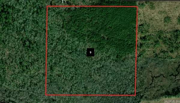 40 Acres of Recreational Land for Auction in Malvern, Arkansas