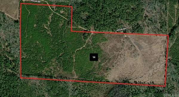 140 Acres of Recreational Land for Auction in Sparkman, Arkansas