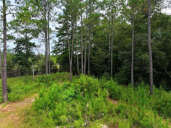 6.63 Acres of Residential Land for Sale in Saraland, Alabama