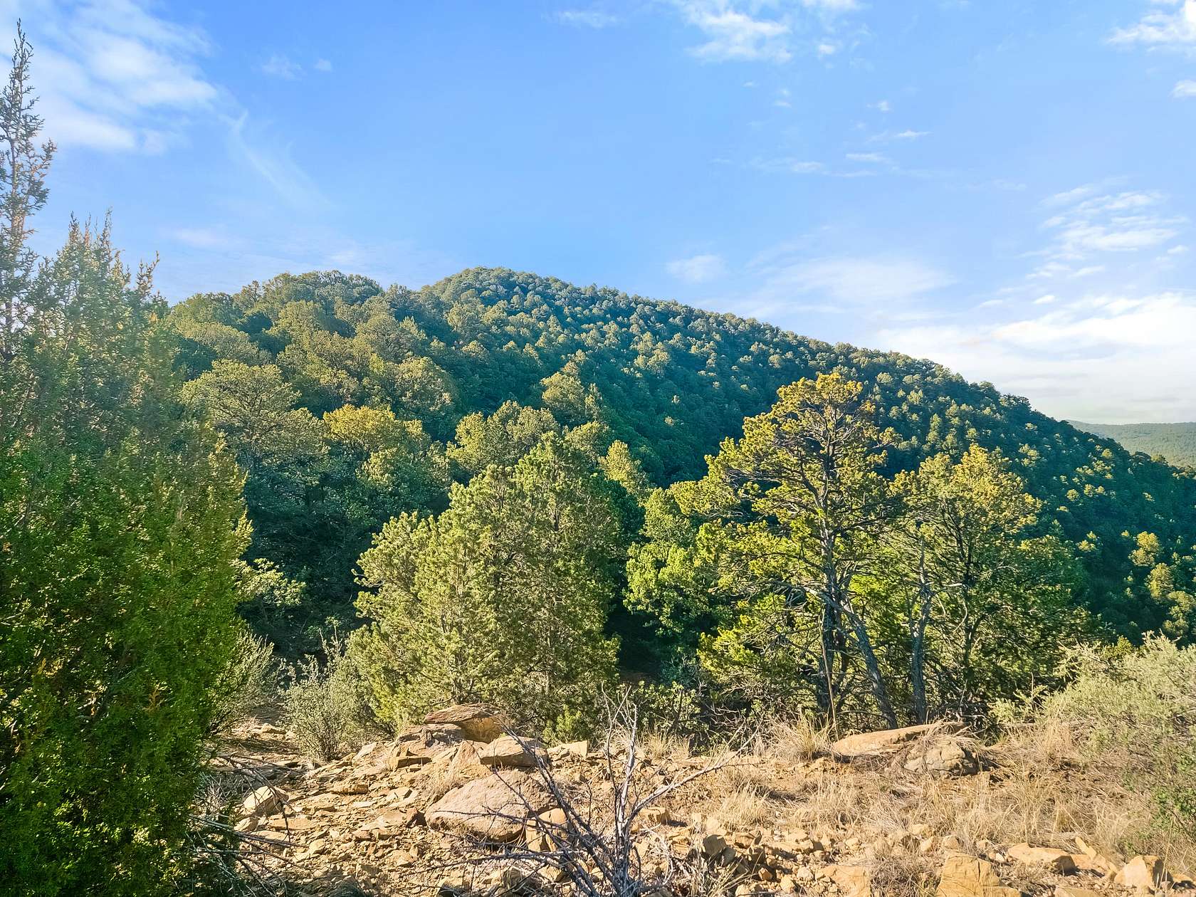 35 Acres of Land for Sale in Walsenburg, Colorado