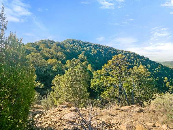 35 Acres of Land for Sale in Walsenburg, Colorado