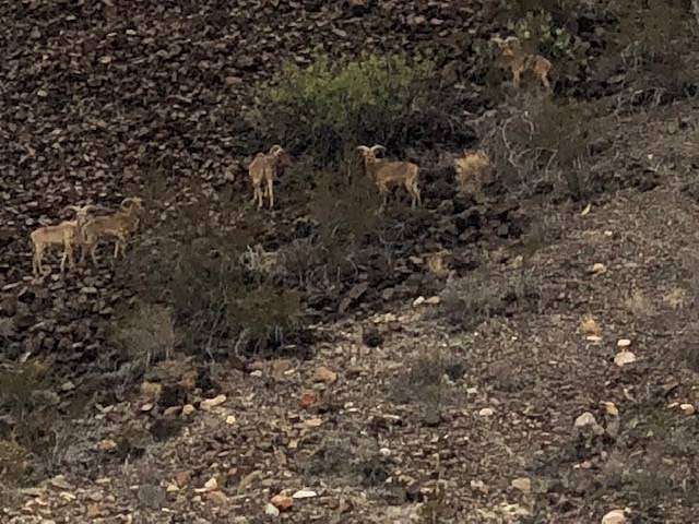 Land for Sale in Terlingua, Texas