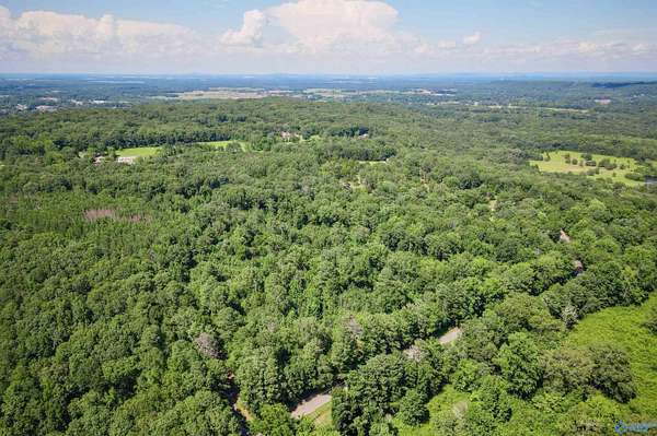 5 Acres of Agricultural Land for Sale in Decatur, Alabama