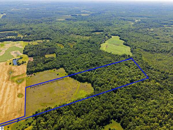 34.6 Acres of Land for Sale in Kalkaska, Michigan