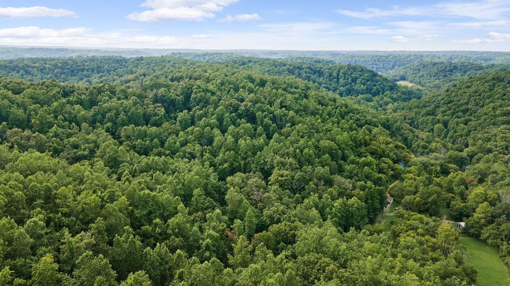 48.4 Acres of Recreational & Residential Land for Sale in Bethpage, Tennessee