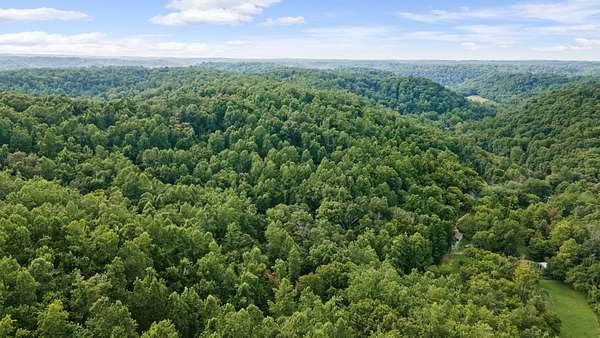 48.4 Acres of Recreational & Residential Land for Sale in Bethpage, Tennessee