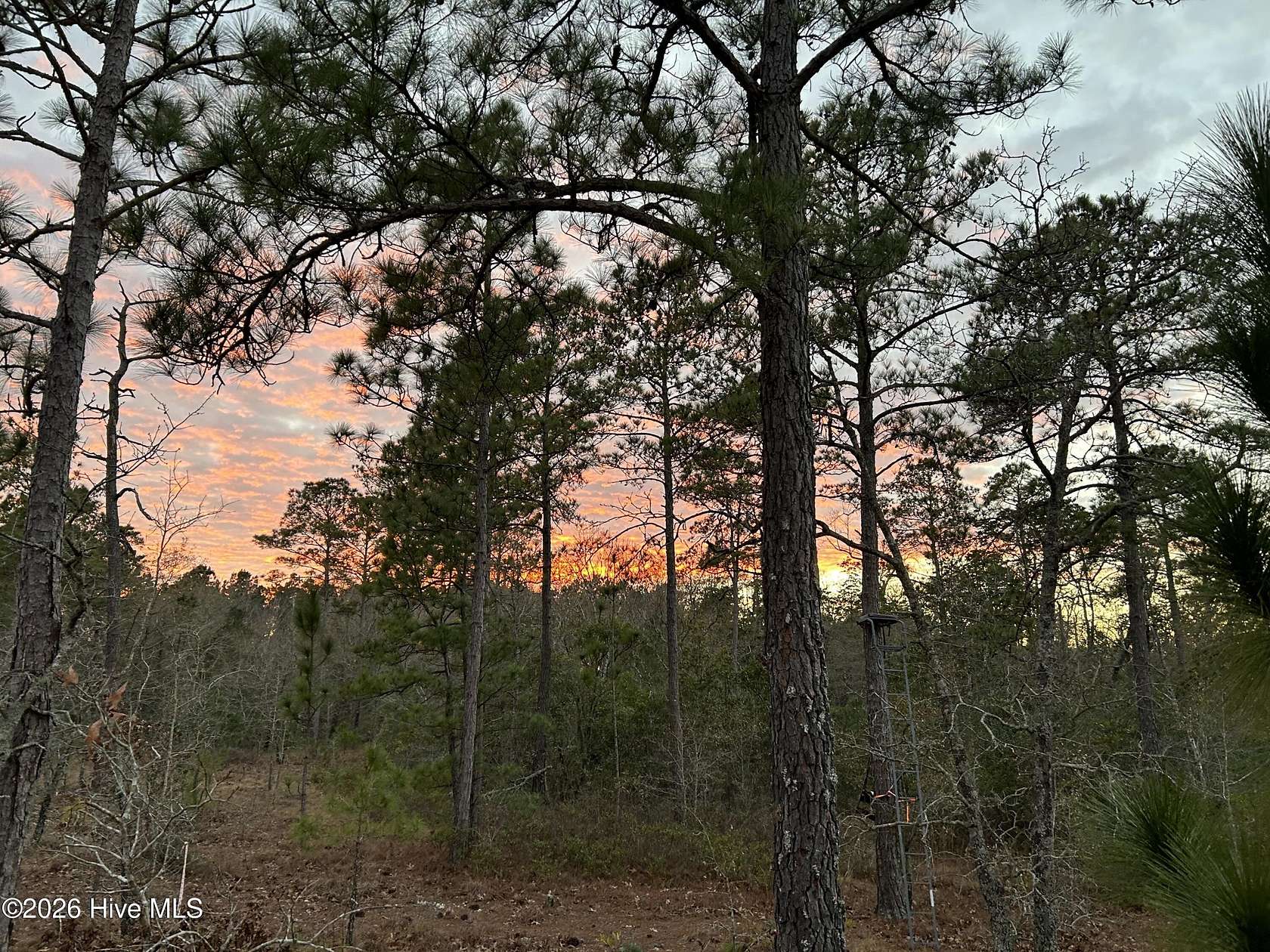 8 Acres of Residential Land for Sale in Hubert, North Carolina
