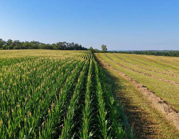 168 Acres of Land for Sale in Rippey, Iowa