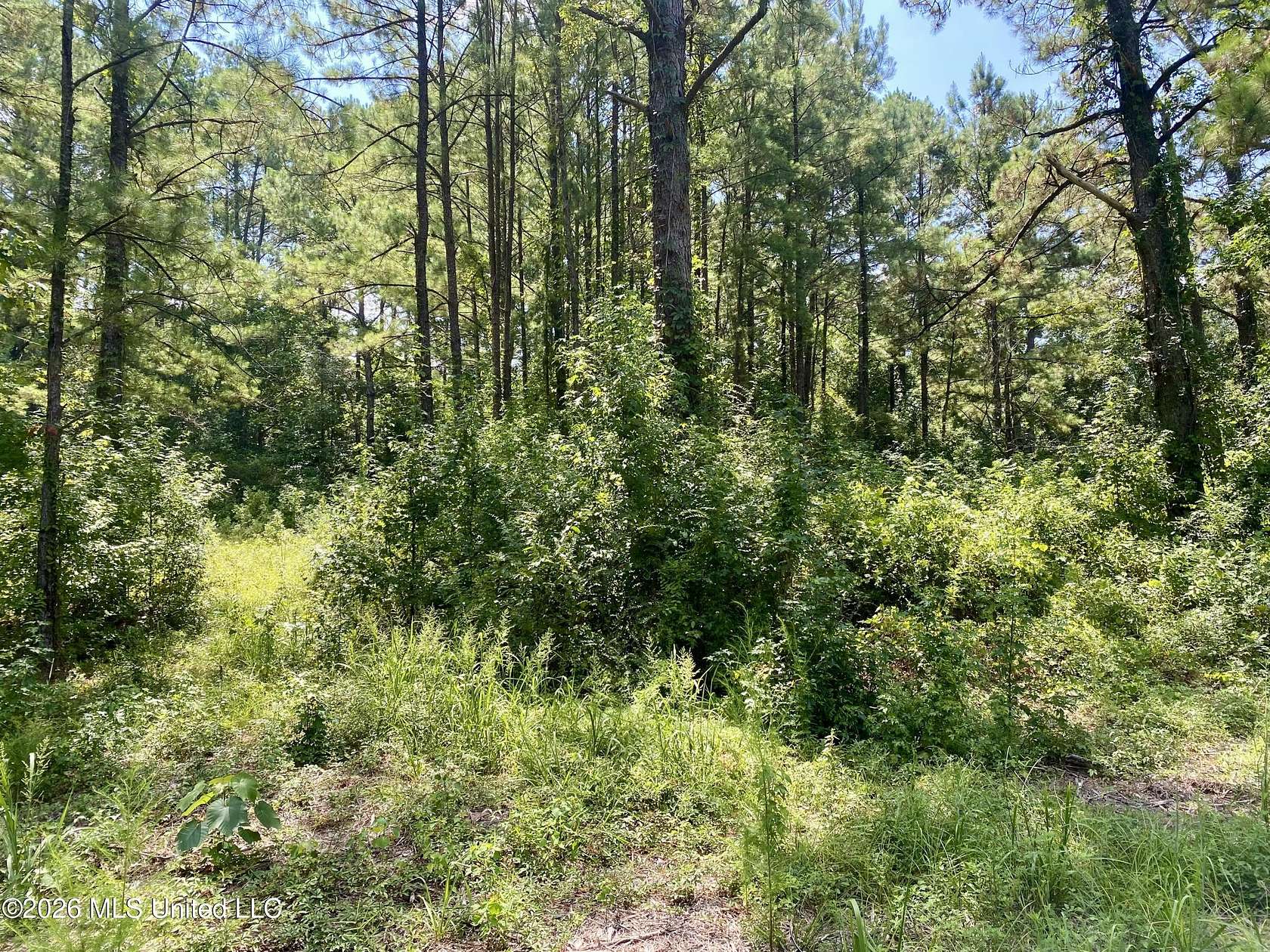 3.9 Acres of Land for Sale in Wiggins, Mississippi