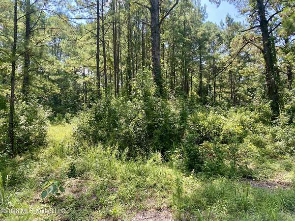3.9 Acres of Land for Sale in Wiggins, Mississippi