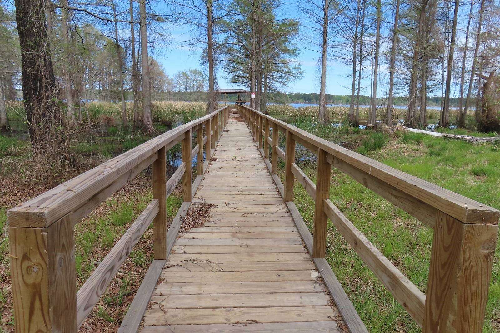 2.7 Acres of Land for Sale in Lewisville, Arkansas