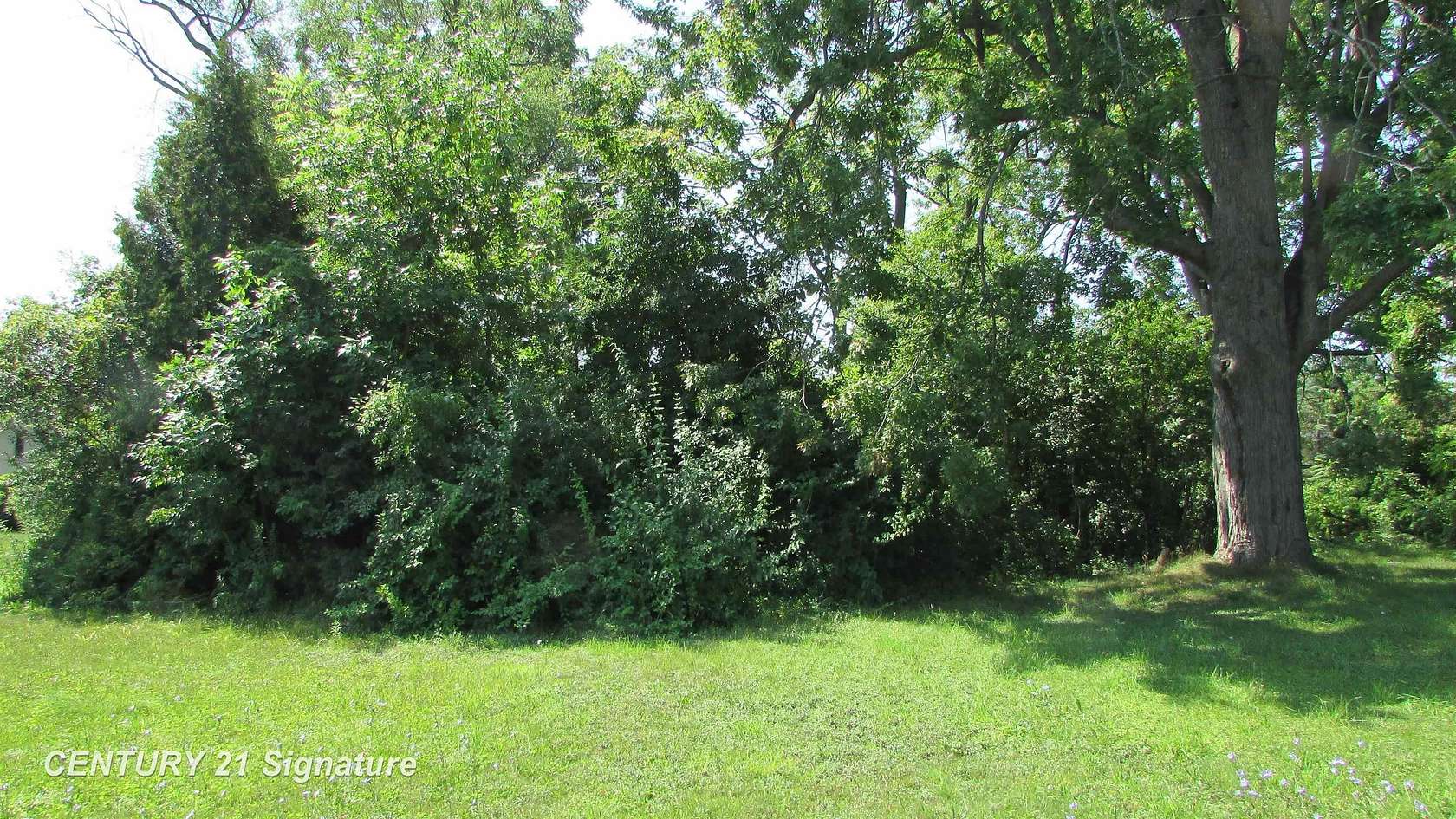 0.29 Acres of Residential Land for Sale in Saginaw, Michigan