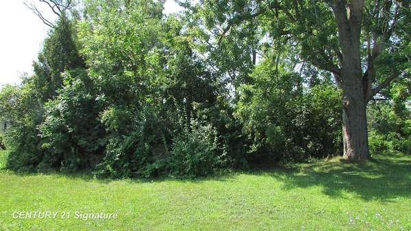 0.29 Acres of Residential Land for Sale in Saginaw, Michigan