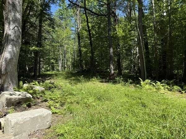 29 Acres of Land for Sale in Vershire, Vermont