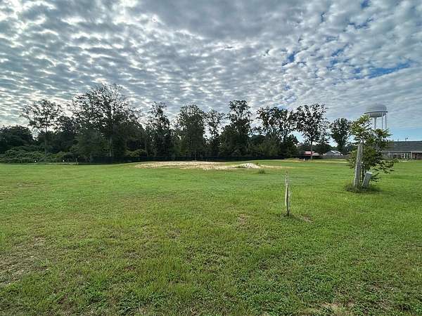 1 Acre of Residential Land for Sale in Cowarts, Alabama