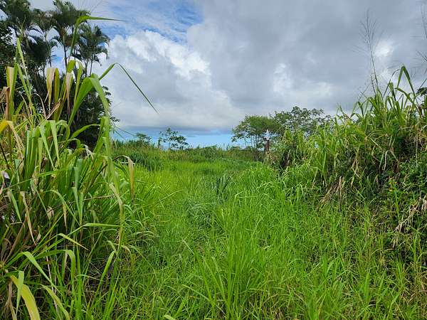 0.28 Acres of Land for Sale in Kurtistown, Hawaii