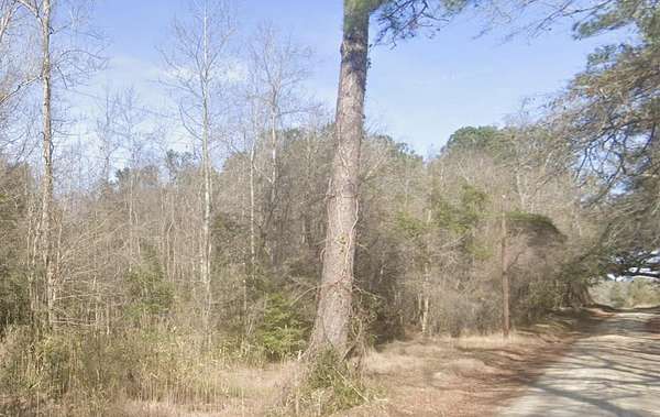 2 Acres of Land for Sale in Round O, South Carolina
