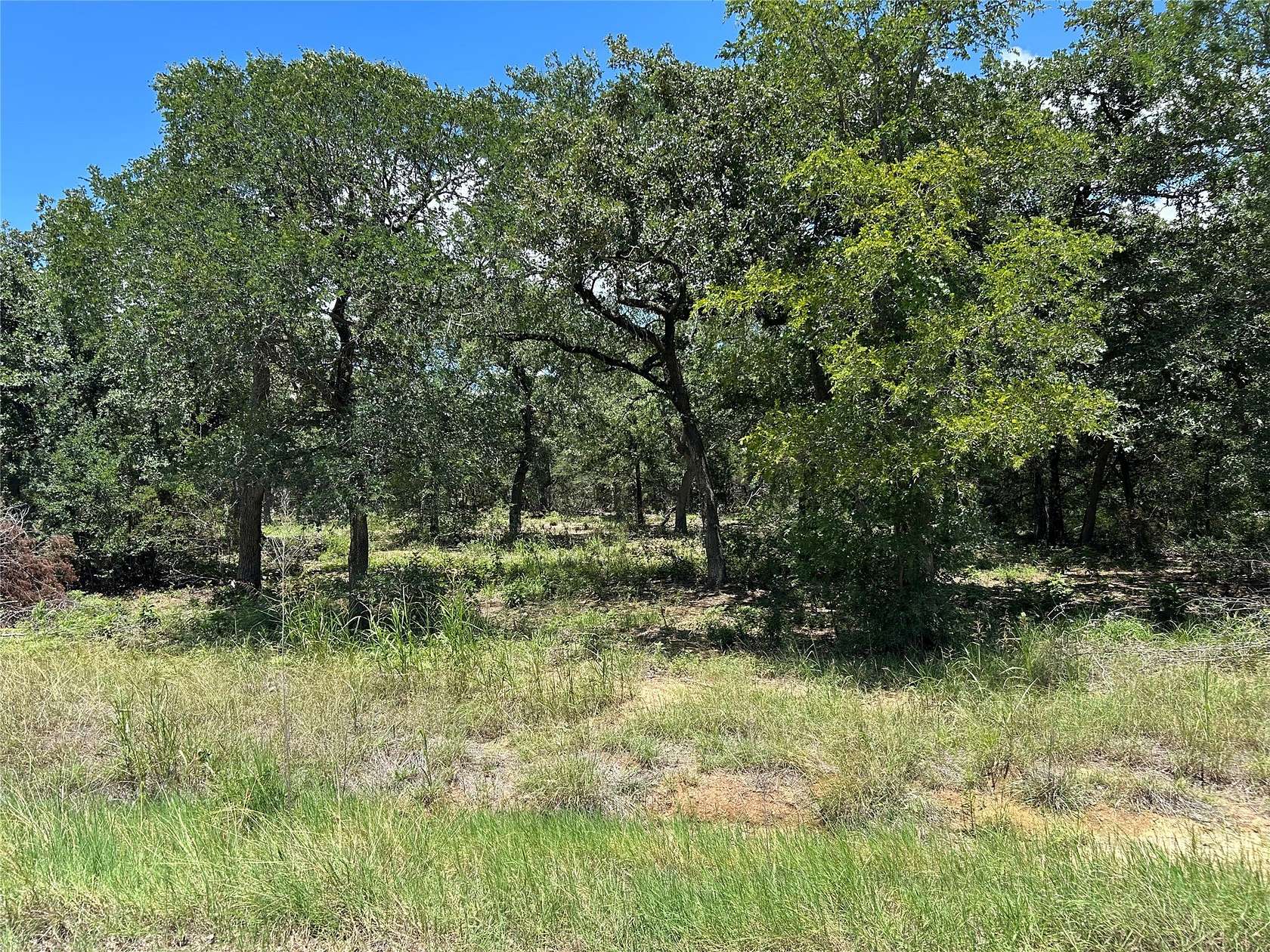 1.52 Acres of Residential Land for Sale in Whitney, Texas