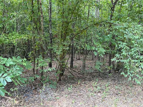 22.4 Acres of Recreational & Residential Land for Sale in Simms, Texas