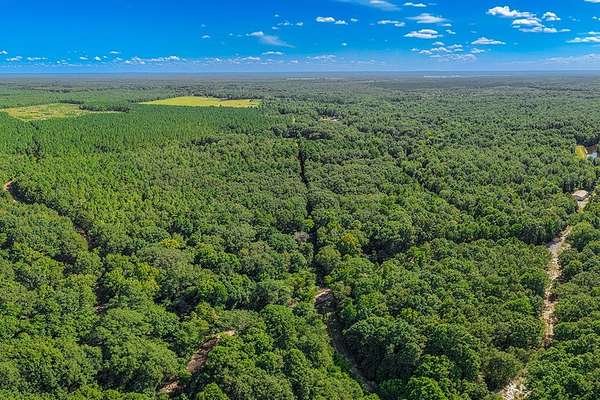 22.4 Acres of Recreational & Residential Land for Sale in Simms, Texas
