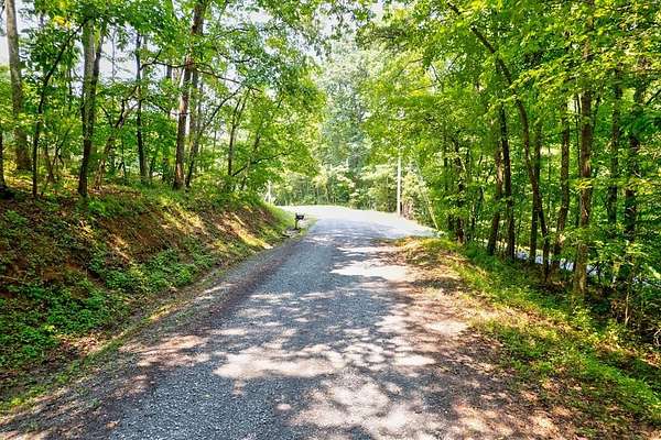 1 Acre of Residential Land for Sale in Mineral Bluff, Georgia