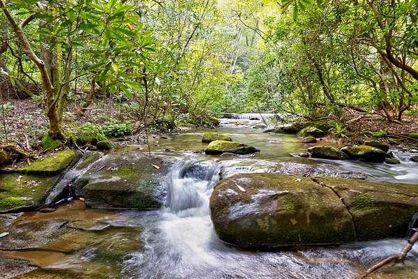 75.4 Acres of Land for Sale in Ellijay, Georgia