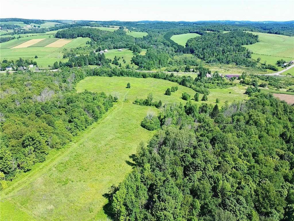 53.4 Acres of Land for Sale in Lebanon, New York