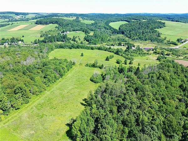 53.4 Acres of Land for Sale in Lebanon, New York