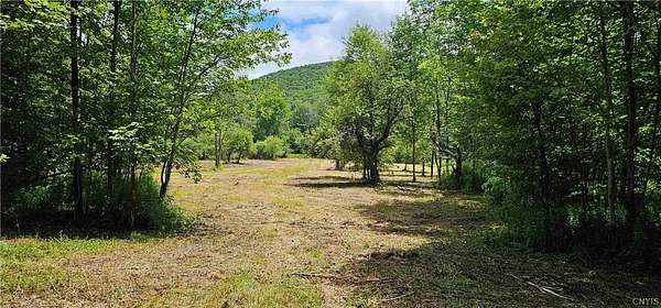 30 Acres of Recreational & Residential Land for Sale in Marathon, New York