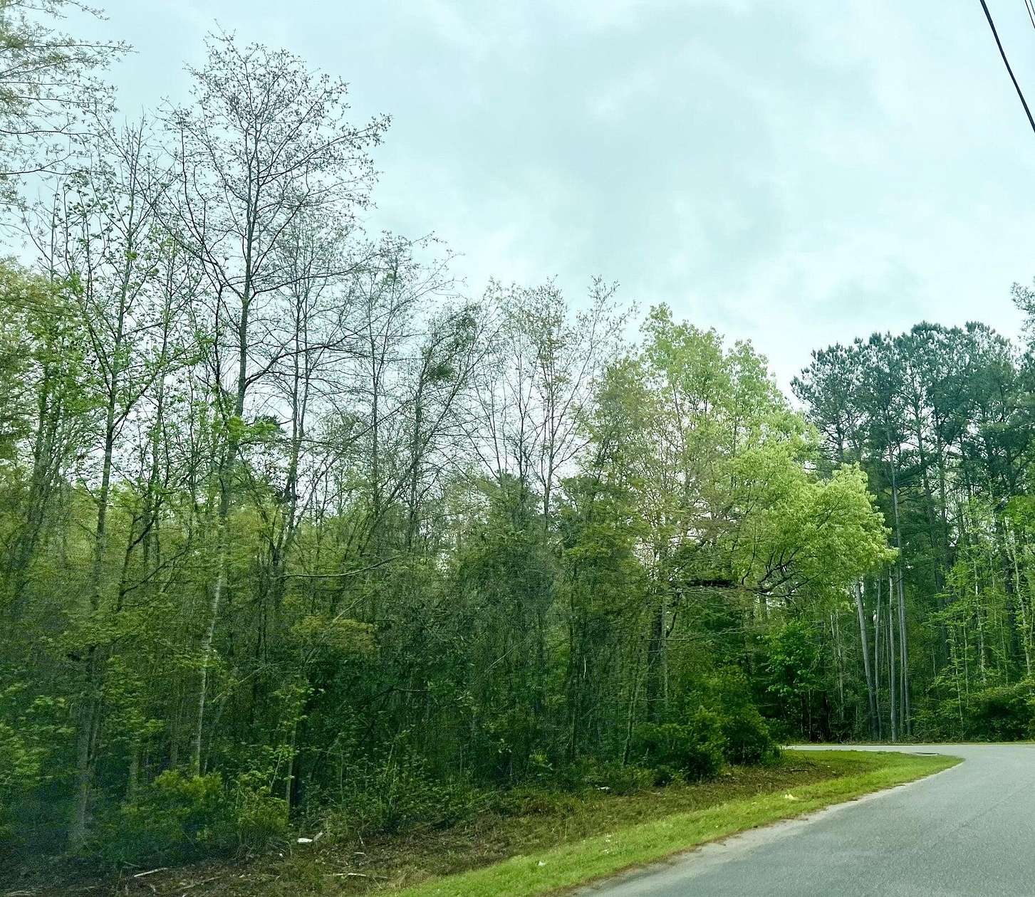 20.4 Acres of Land for Sale in Walterboro, South Carolina