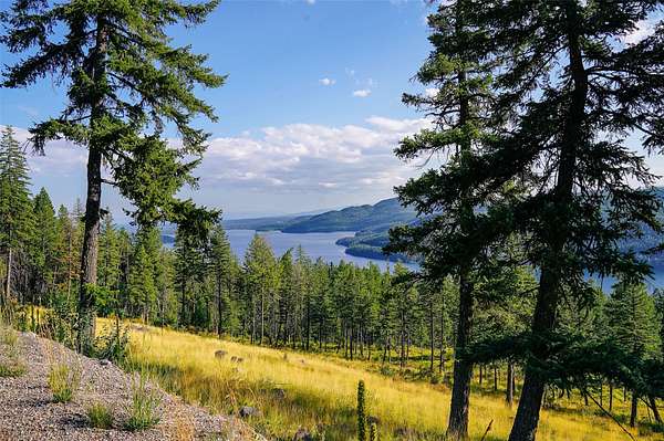 11.3 Acres of Recreational & Residential Land for Sale in Whitefish, Montana