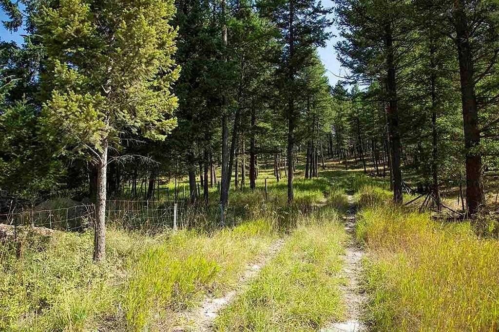 2.82 Acres of Residential Land for Sale in Kalispell, Montana
