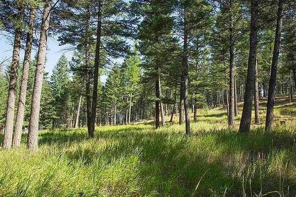 2.82 Acres of Residential Land for Sale in Kalispell, Montana