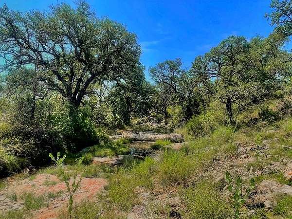 10 Acres of Land for Sale in Burnet, Texas