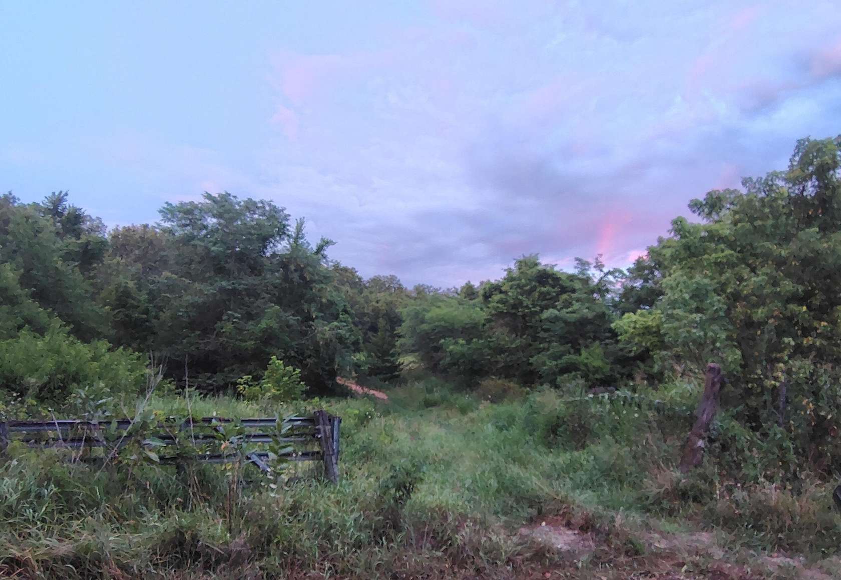 23.4 Acres of Recreational & Residential Land for Sale in Preston, Missouri